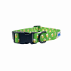 Cutie Ties Fun Design Dog Collar