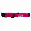 Cutie Ties Fun Design Dog Collar