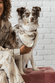 Buddy Dog Bandana (Color: Maple, size: S)