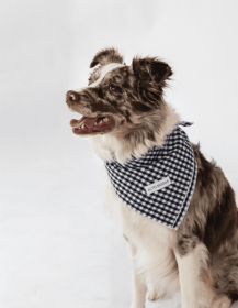 Buddy Dog Bandana (Color: Navy Gingham, size: L)