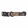 Sassy Woof Dog Collars