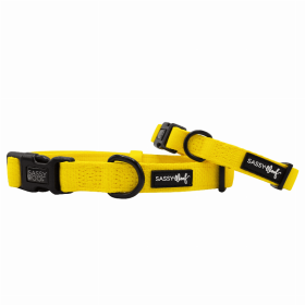 Sassy Woof Dog Collars (Color: Neon Yellow, size: medium)