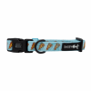 Sassy Woof Dog Collars