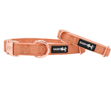 Collar (Color: Orange, size: large)