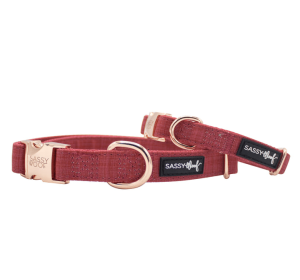 Collar (Color: Red, size: large)