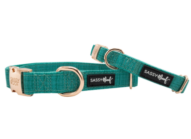 Collar (Color: green, size: large)