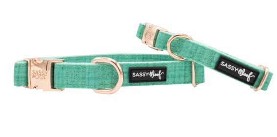 Collar (Color: Teal, size: medium)