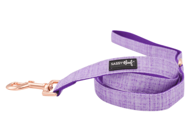 Leash (Color: Purple, size: One Size)