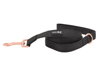 Leash (Color: Black, size: One Size)