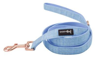 Leash (Color: Blue, size: One Size)