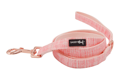 Leash (Color: pink, size: One Size)