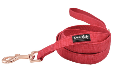 Leash (Color: Red, size: One Size)