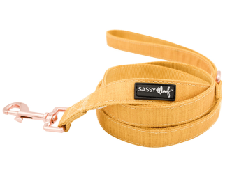 Leash (Color: Yellow, size: One Size)