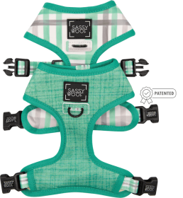 Reversible Harness (Color: Teal, size: large)