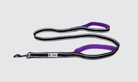 Headlight Harness Double Handle Reflective Leash (Color: Purple, size: 6ft)