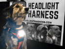 Headlight Harness, Dog Harness with Built In LED Light