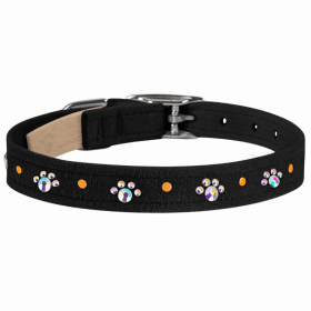 Susan Lanci Designs Crystal Paws Collar (Color: Black, size: XL)