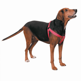 CC Nylon 2 Step Harness (Color: pink, size: 9-15in)