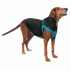 CC Nylon 2 Step Harness (Color: Turqouise, size: 9-15in)