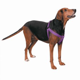 CC Nylon 2 Step Harness (Color: Purple, size: 15-25in)