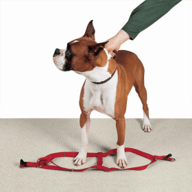 CC Nylon 2 Step Harness (Color: Red, size: 15-25in)