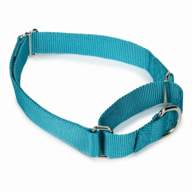 GG Nylon Martingale Collar (Color: light blue, size: 10-16in)