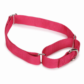 GG Nylon Martingale Collar (Color: pink, size: 14-20in)