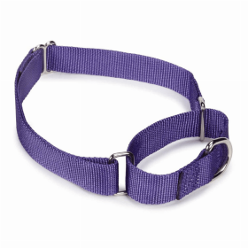 GG Nylon Martingale Collar (Color: Purple, size: 10-16in)