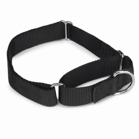 GG Nylon Martingale Collar (Color: Black, size: 10-16in)