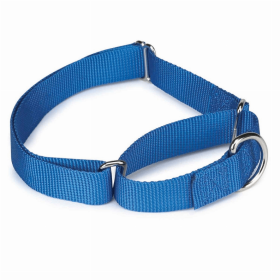 GG Nylon Martingale Collar (Color: Blue, size: 18-26in)