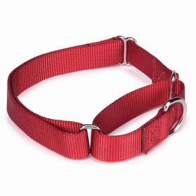 GG Nylon Martingale Collar (Color: Red, size: 14-20in)