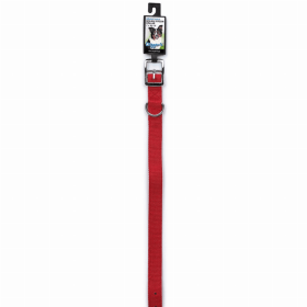 DGR 1in Dbl Nylon Collar (Color: Red, size: 20in)