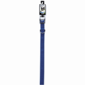 DGR 1in Dbl Nylon Collar (Color: Blue, size: 20in)