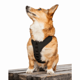 K9 Sport Harness (Color: Anthracite Black, size: Medium (15-17" Neck 15-21" Chest))