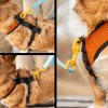 K9 Sport Harness