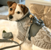 Dog Harness