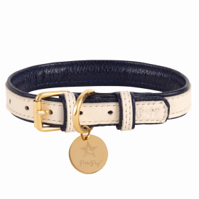 Dog Collar (Color: Hot Marine, size: medium)