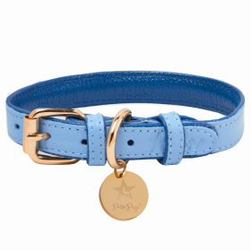 Dog Collar (Color: Ocean Vibes, size: small)