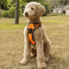 Mr. Peanut's PetTrek Reflective Pet Harness With Matching Leash