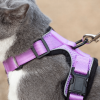 Mr. Peanut's PurrTrek Reflective Cat Harness with Matching Leash