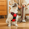 Mr. Peanut's PetTrek Reflective Pet Harness With Matching Leash