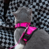 Mr. Peanut's PurrTrek Reflective Cat Harness with Matching Leash