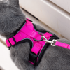 Mr. Peanut's PurrTrek Reflective Cat Harness with Matching Leash