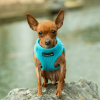 Mr. Peanut's PupTrek Small Dog/Cat Soft Mesh Step In Harness Vest