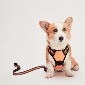 Mr. Peanut's PetTrek Reflective Pet Harness With Matching Leash (Color: Orange, size: small)