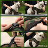 Mr. Peanut's PupTrek Small Dog/Cat Soft Mesh Step In Harness Vest