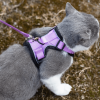 Mr. Peanut's PurrTrek Reflective Cat Harness with Matching Leash