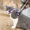 Mr. Peanut's PurrTrek Reflective Cat Harness with Matching Leash