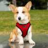 Mr. Peanut's PupTrek Small Dog/Cat Soft Mesh Step In Harness Vest