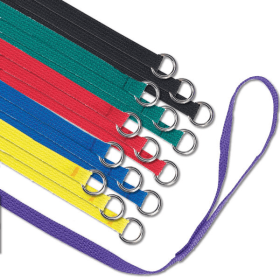 GG Kennel Leads 6Ft x 1In 60Pk (Color: Assorted, size: 6Ft x 1In)